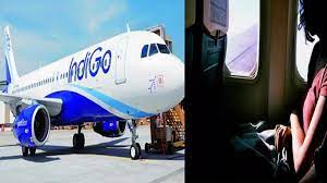 फ्लाइट में यौन उत्पीड़न से हड़कंप , प्रोफेसर हुआ गिरफ्तार 