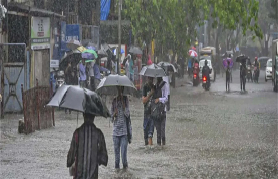 मुंबई में भारी बारिश, पालघर में डूबा पुल, ट्रेनों के पहिये थमे, IMD का तेज बारिश का अलर्ट जारी 