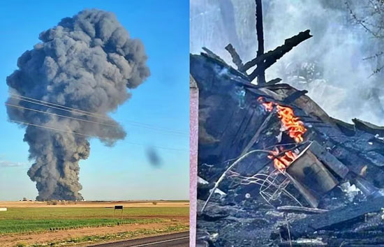 अमेरिका : टेक्सास में डेयरी फार्म में धमाका, 18 हजार गायों की मौत