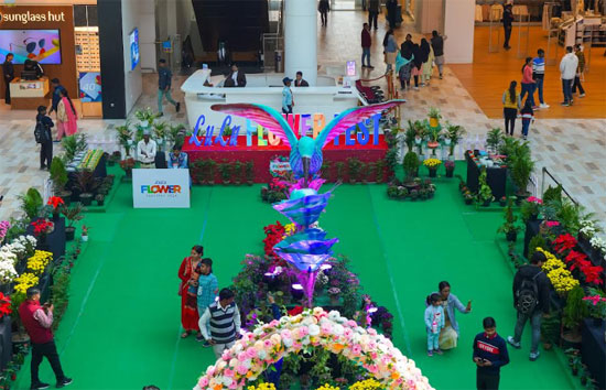 लुलु मॉल में शुरू हुआ फ्लावर फेस्टिवल