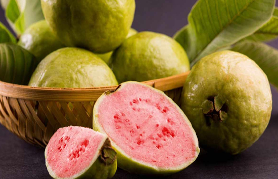 ठंड के मौसम में करें अमरूद का सेवन, कब्ज से मिलेगा छुटकारा, कंट्रोल में रहेगा ब्लड शुगर