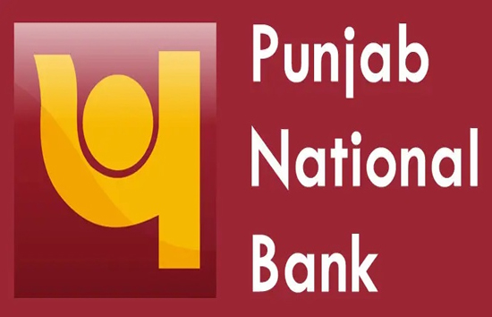 एक और बैंक के साथ धोखाधड़ी...पंजाब नेशनल बैंक को इस कंपनी ने लगाया 270 करोड़ का चूना