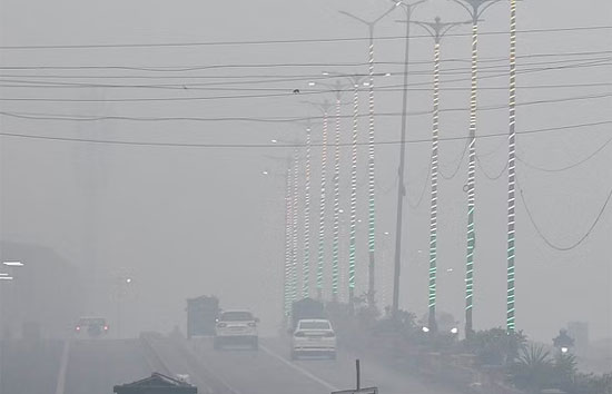 ठंड से उत्तर भारत में 11 लोगों की मौत, कई राज्यों में छाया घना कोहरा 