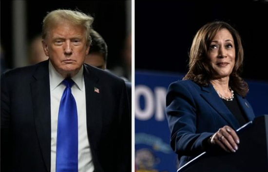 ट्रंप की एक अफवाह ने जीत लिया अमेरिकी वासियों का दिल, चुनाव में मिल सकता है बड़ा फायदा