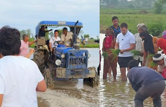 सोनीपत : अचानक धान के खेत में पहुंचे राहुल गांधी, ट्रैक्टर से जुताई कर की धान की रोपाई