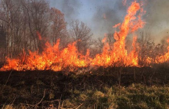 पराली जलाई तो अब खैर नहीं, 30 हजार रुपये तक लगेगा जुर्माना, SC की सख्ती के बाद सरकार ने बढ़ाई पेनाल्टी 
