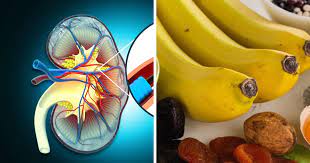 किडनी को रखना चाहते हैं हेल्दी तो करें ये उपाय 