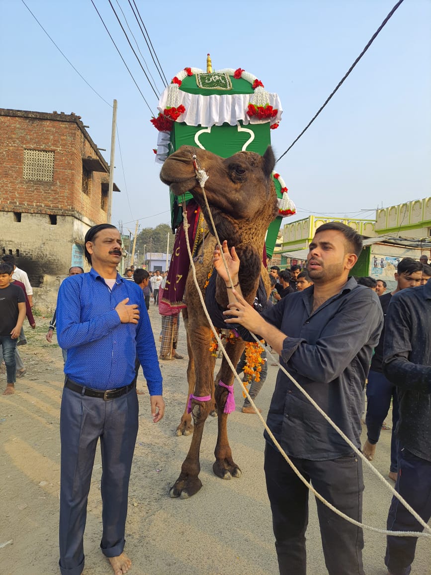 सफर इमाम हुसैन की याद में निकला अलम और अमारी  का मातमी जुलूस