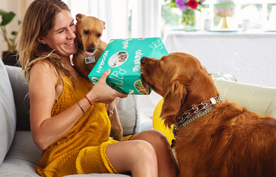 आवारा कुत्तों पर सुप्रीम कोर्ट का आज आएगा फैसला, डॉग लवर्स के लिए है खास दिन 