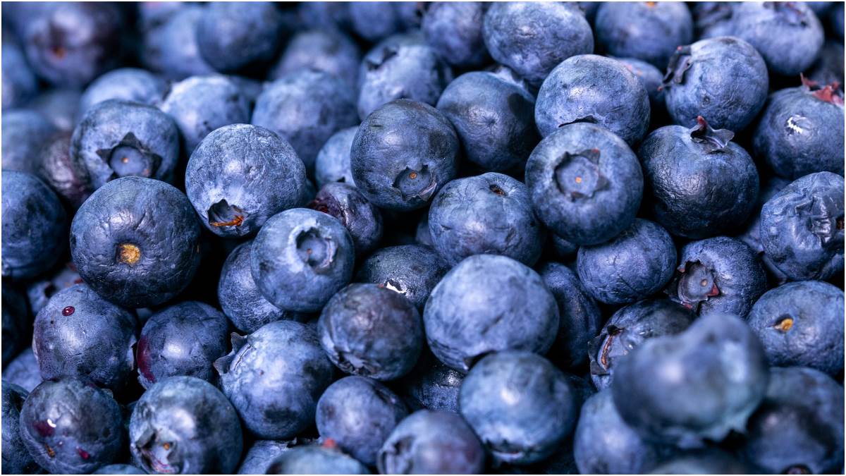 इस गर्मी के मौसम में अपने खाने में शामिल करें ये ब्लूबेरीज़ होंगे चौंकाने वाले फायदे