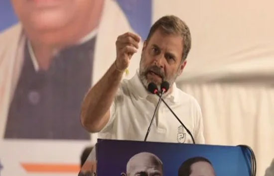 दिल्ली चुनाव : पहली रैली में गरजे राहुल गांधी, कहा-पीएम मोदी और अरविंद केजरीवाल कोई अंतर नहीं