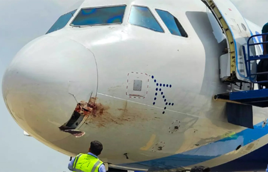 पक्षी से टकराने के बाद इंडिगो की इमरजेंसी लैंडिंग, फ्लाइट में 175 यात्री थे सवार 