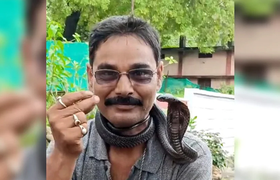 MP : सांप के साथ खिलवाड़ करना सर्पमित्र को पड़ा महंगा, गले में डालकर घूमते समय डसा, मौत 