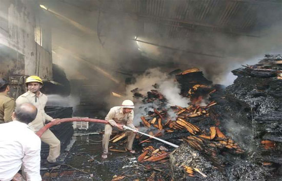 ऐशबाग प्लाईवुड फैक्टरी में लगी भीषण आग, तीन दमकलकर्मी झुलसे, सिविल में भर्ती 