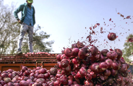 सरकार 35 रुपये किलो में बेचेगी प्याज! प्लान तैयार, महंगाई से मिलेगी राहत    