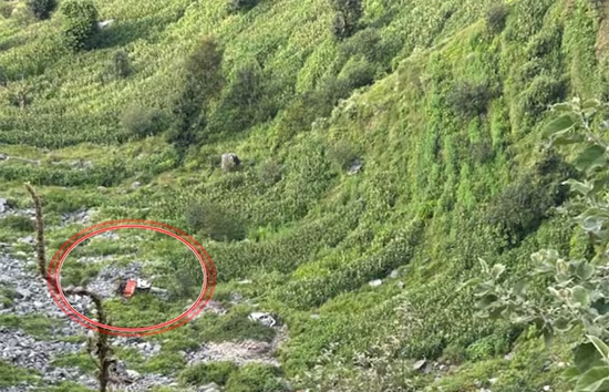 हिमाचल प्रदेश : खाई में गिरी कार, जीजा-साले समेत 6 लोगों की दर्दनाक मौत