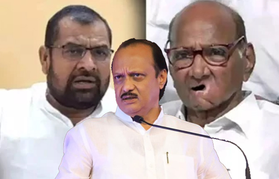 चाचा शरद पवार पर बीजेपी नेता ने की टिप्पणी, अजीत पवार ने दी चेतावनी