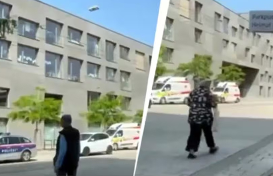 ऑस्ट्रिया के स्कूल में गोलीबारी 11 लोगों की मौत, मृतक में संदिग्ध हमलावर भी शामिल 