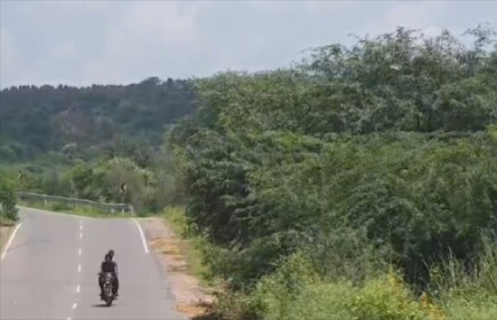 राजस्थान के जंगलों में अलकायदा चला रहा आतंकियों के ट्रेनिंग सेंटर, खुलासे के बाद आई हाई अलर्ट पर पुलिस 