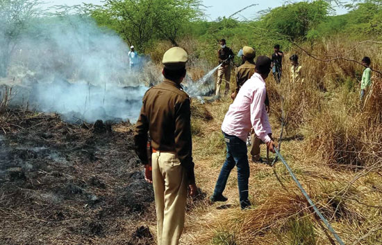 संदिग्ध परिस्थितियों के चलते जंगल में लगी आग