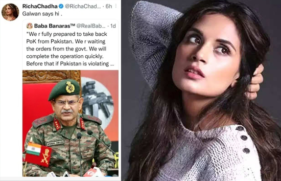 एक्ट्रेस ऋचा चड्ढा ने किया सेना का अपमान, बीजेपी ने बताया पब्लिसिटी स्टंट