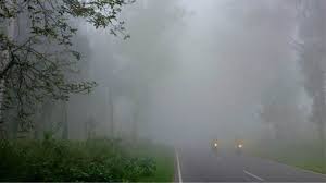 यूपी में तराई के ज‍िलों में सुबह-सुब‍ह कुछ ऐसा था नजारा