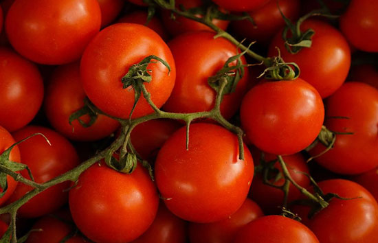 महंगे टमाटर पर सरकार लगाएगी लगाम, बेचेगी सस्ता टमाटर, देखें कहां मिलेंगी 