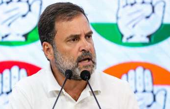 राहुल गांधी को आया गुस्सा...बोले-पार्टी से 10, 15, 20, 30 लोगों को निकाल देना चाहिए