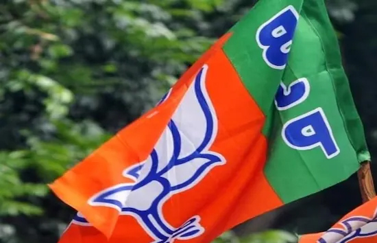 दिल्ली चुनाव के लिए भाजपा ने 9 और उम्मीदवारों की लिस्ट की जारी, सौरभ भारद्वाज के सामने बीजेपी से होंगी शिखा राय