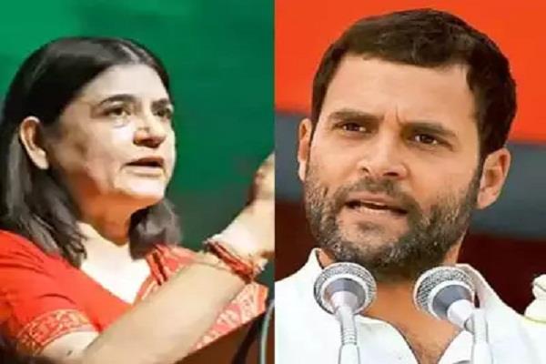 राहुल गांधी की काबिलियत पर मेनका गांधी ने दिया ये जवाब 