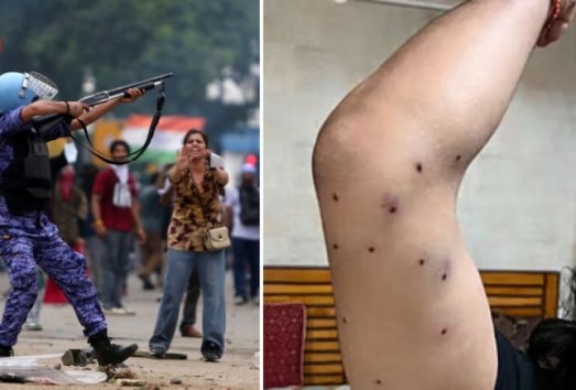 प्रोटेस्ट में RAF ने चलाई पेलेट गन? CRPF कर रहा जांच