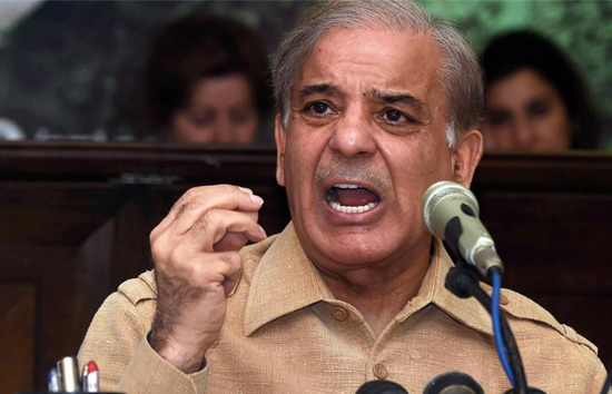 कश्मीर दिवस पर शहबाज शरीफ  ने उगला जहर तो दूसरी तरफ बिलावल भुट्टो प्रधानमंत्री देखना चाहते हैं जरदारी 