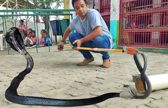 यूपी : स्कूल फन फैलाकर नागिन फैलाई दहशत, फुफकारा तो भाग खड़ा हुआ स्टाफ