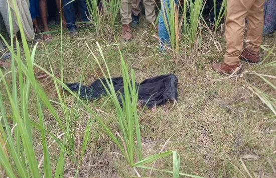बहराइच में बच्चे को उठा ले गया आदमखोर, गन्ने के खेत में बच्चे के मिली क्षत-विक्षत लाश