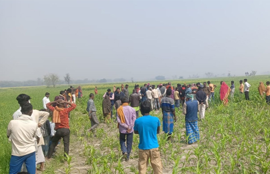 खेत में मिला 5 वर्षीय बच्ची के टुकड़े में मिली लाश, जांच में जुटी पुलिस 